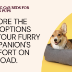 Best Dog Car Bed Options for Comfy Travel